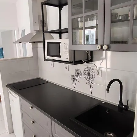 Apartment Josko *